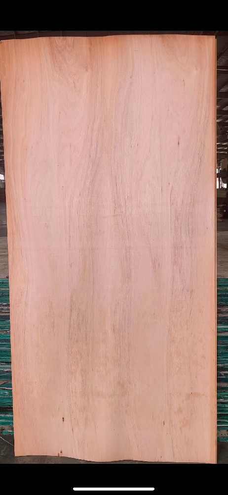 产品5