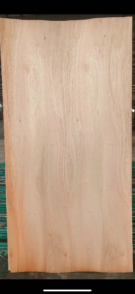 产品6